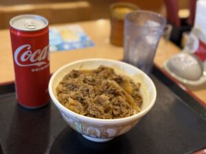 A bowl of gyudon