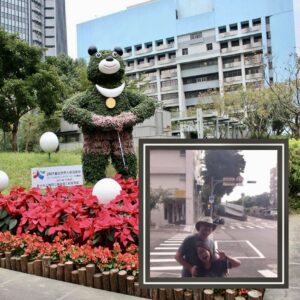 Us, superimposed over an image of a topiary bear mowing a lawn